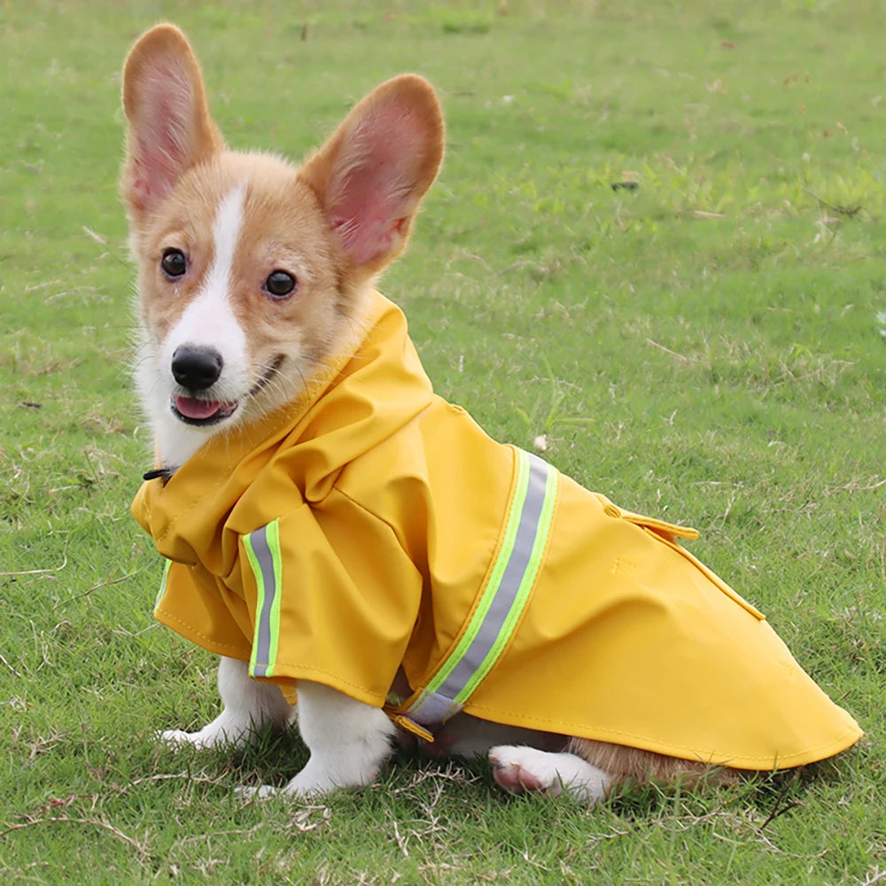 The Cloak Dog Raincoat