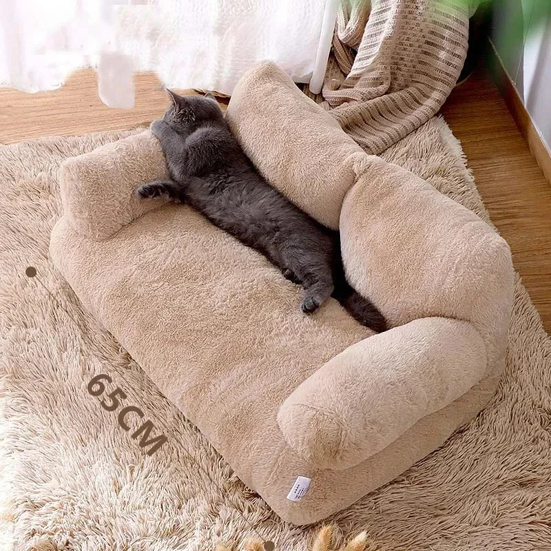 The Cat Lounge