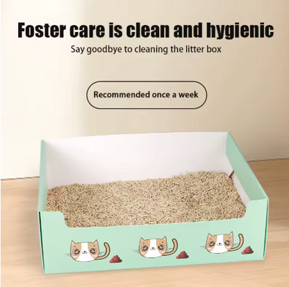 Disposable Litter Box