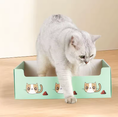 Disposable Litter Box